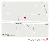ادویه پاکضمیر