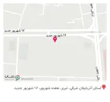 میکروطب نوین