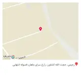 تولیدی چوبی شو