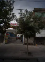 کارواش بزرگ مارال