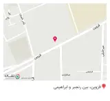 آینه خودرو عدالت