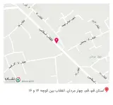 عرقیات امیری