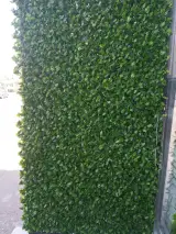 پرده سرای یاس افشار