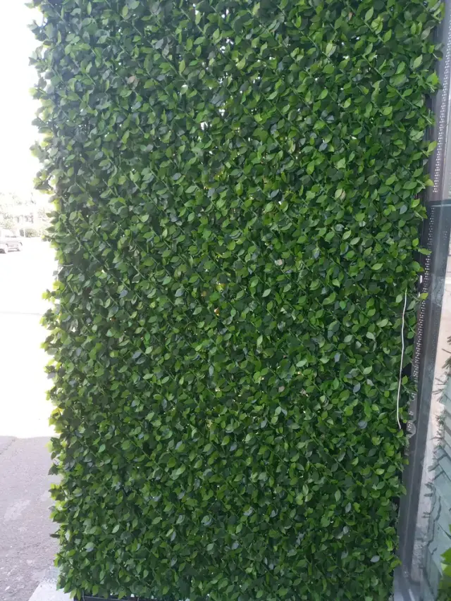 پرده سرای یاس افشار