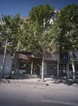 مشاورین املاک سبز