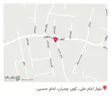 دوزندگی عسل بانو