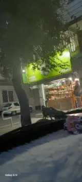 گیاهان دارویی مهترنج