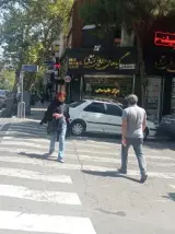 گیاهان دارویی ربیعی