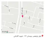 چاپ رضائی