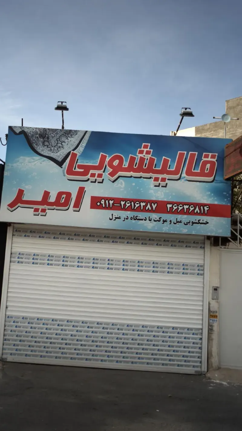 قالیشویی امیر