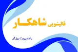 قالیشویی شاهکار