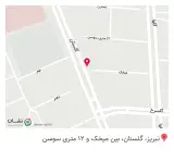 پیراهن شجاعی