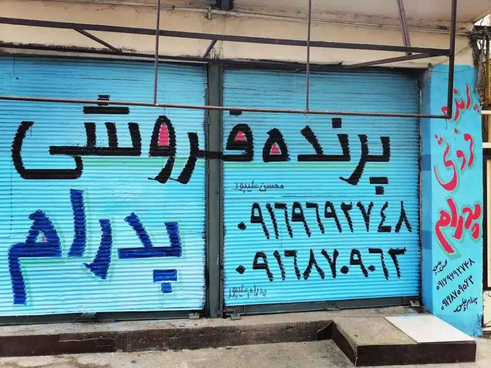 پرنده فروشی پدرام