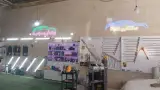صافکاری نقاشی اروپا رنگ