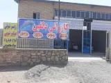 کارواش دلفین