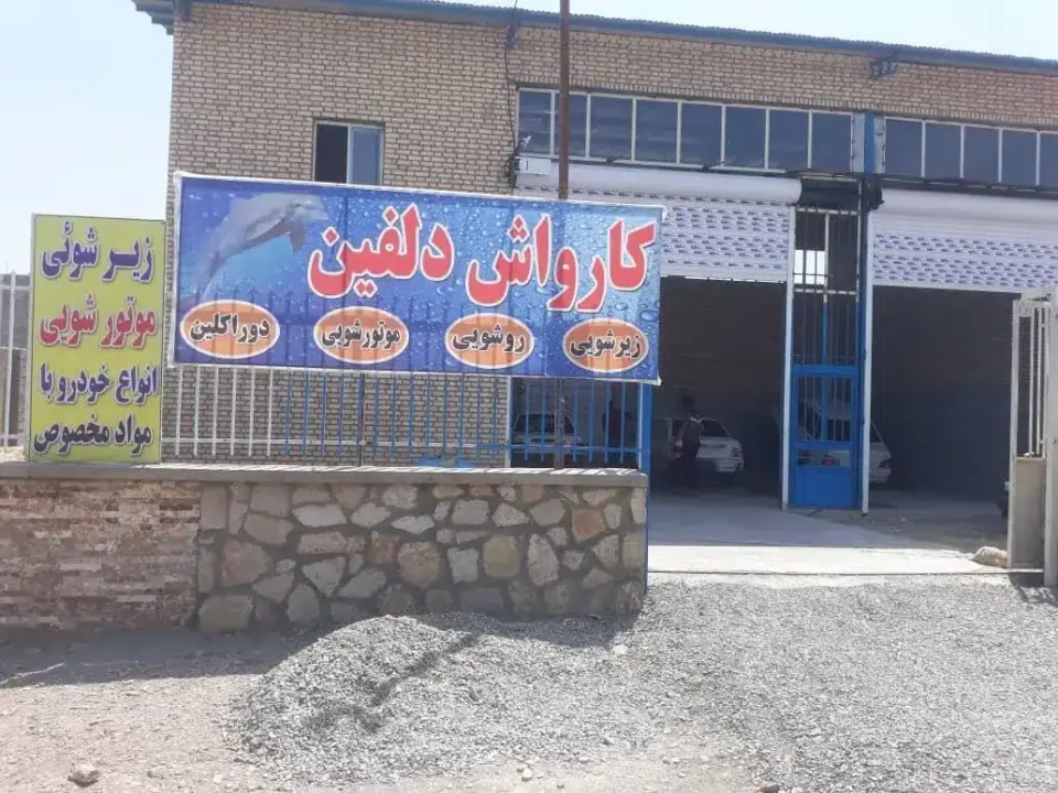 کارواش دلفین