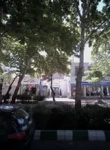 املاک سبز