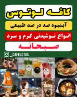 کافه لوتوس