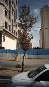 دکتر اصغر فرجی