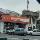 گالری نارون