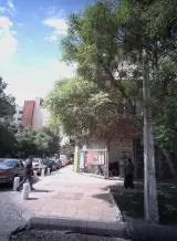 املاک دهقان