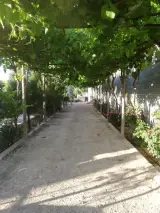 مجموعه پرورش حیوانات خانگی زرقان لوپ