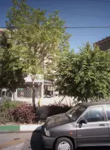 املاک سجاد