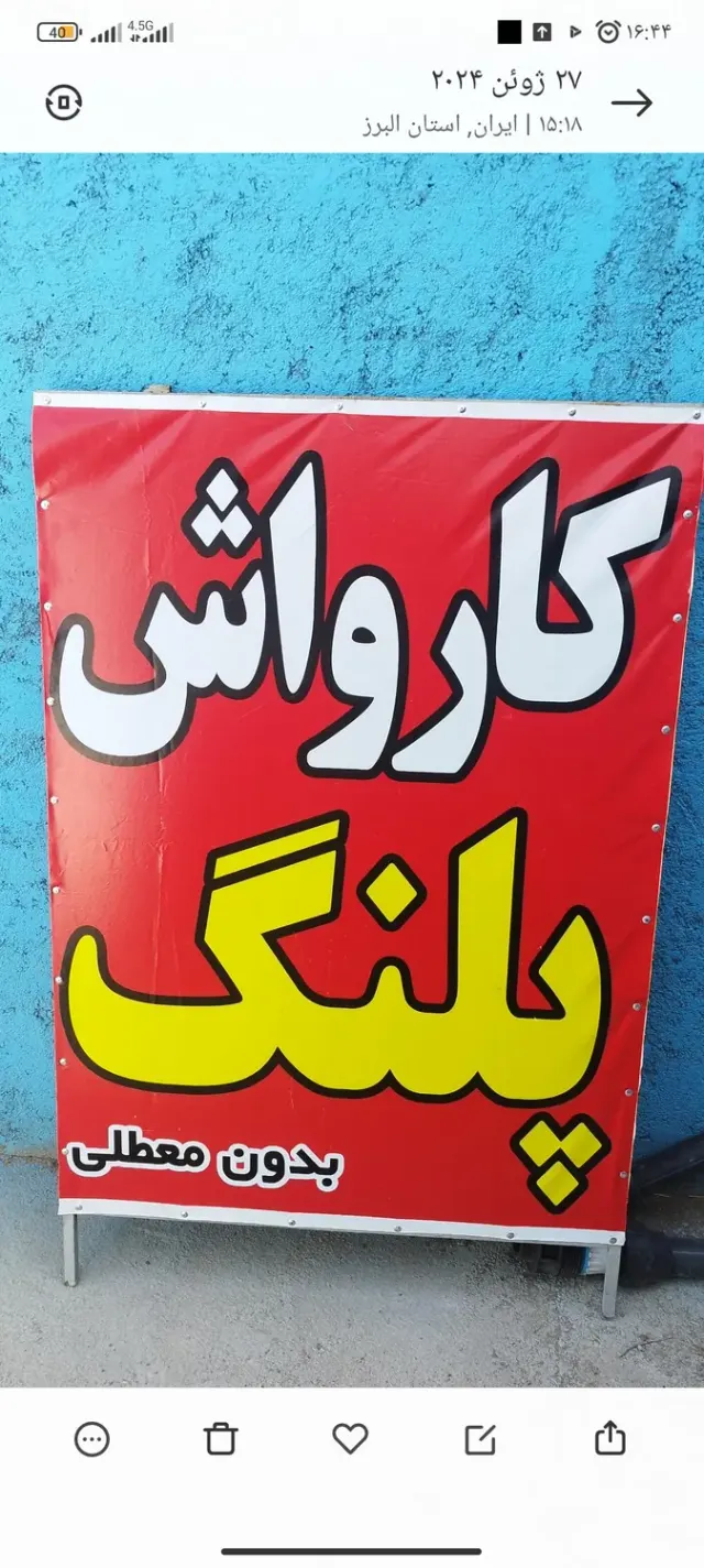 کارواش پلنگ