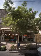 کارگزاری املاک ظریف
