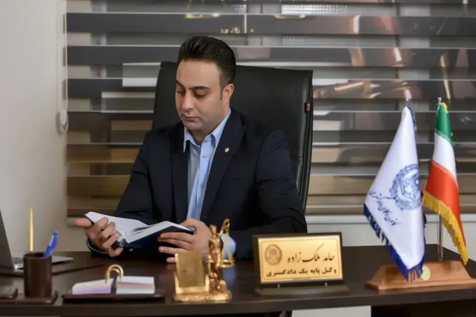حامد ملک زاده