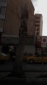 ایران یدک