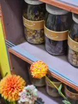 گیاهان دارویی علیزاده
