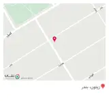 آجیل وخشکبار زیتون