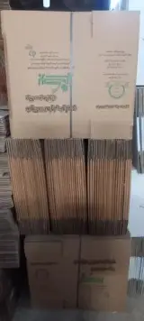 کارتن سازی اترک نگار مفخم