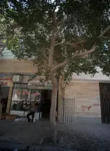 مشاور املاک ایمانی
