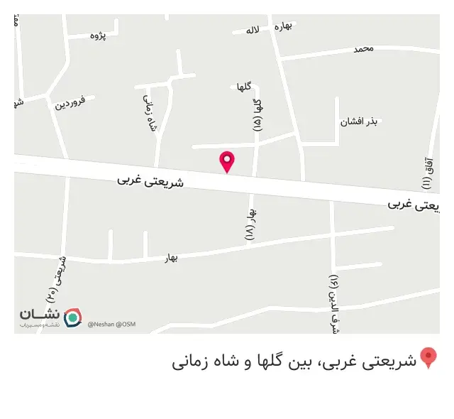 دکوراسیون رایزن پارس