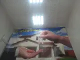 املاک آقای راد