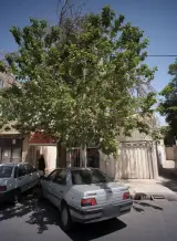 مشاور املاک