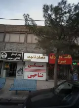 مسکن ناجی