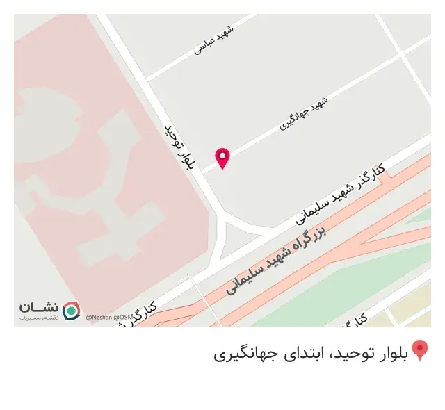 فرش موسوی - زیتون کارمندی