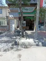 بیمه البرز