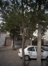 لابراتوار دندانسازی گشتی