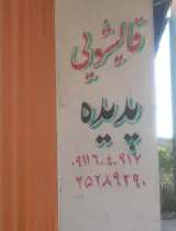 قالیشویی پدیده