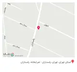 شرکت انعکاس پایدار هنر