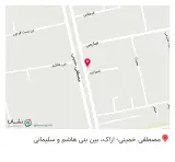 چاپ ماندگار