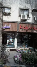 املاک آپادانا