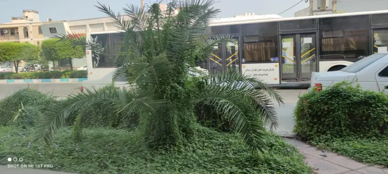 رستوران نخلستان