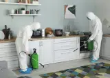 خدمات تخصصی سمپاشی پاک مهر نصف جهان