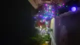 باغ رستوران همسفر