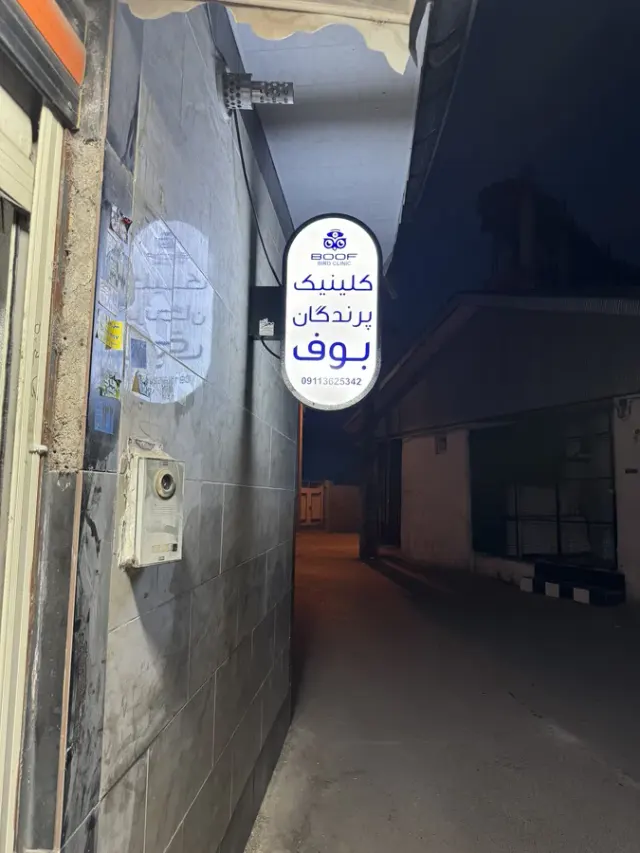 کلینیک پرندگان بوف